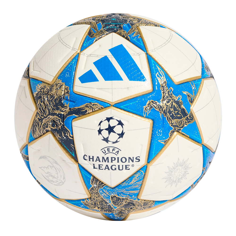 Футбольный мяч ADIDAS UCL PRO JD0188 5