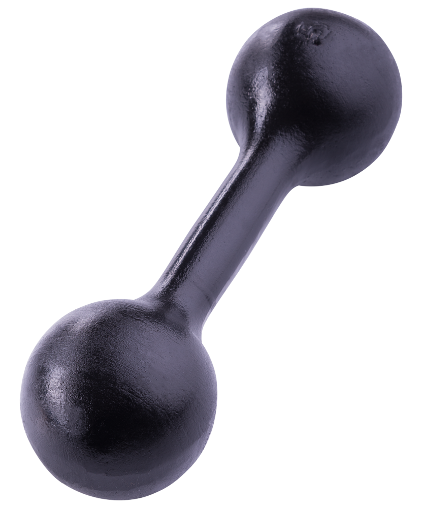 Гантель чугунная 5 кг