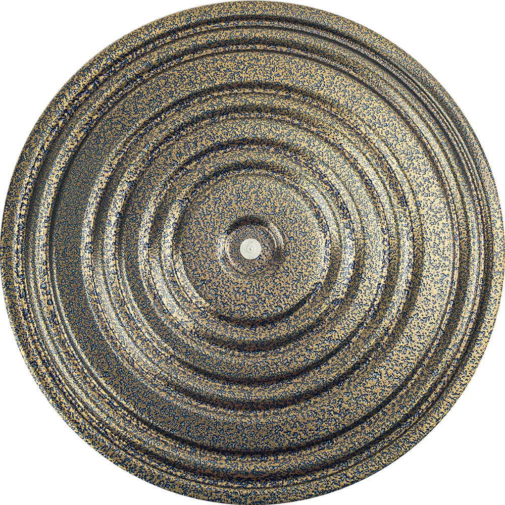 Диск здоровья MADE IN RUSSIA MR-D-13