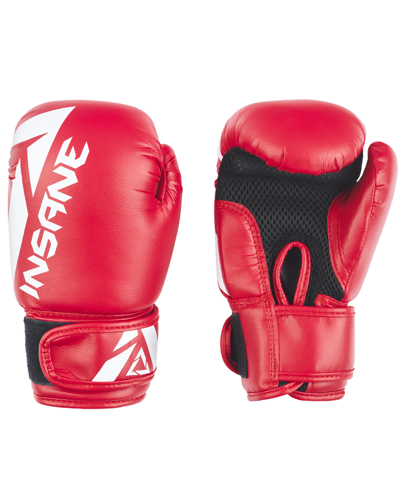 Перчатки боксерские Insane MARS УТ-00020327 6oz