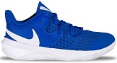 Волейбольные кроссовки Nike NIKE ZOOM HYPERSPEED COURT CI2964-410