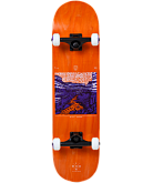 Скейтборд Ridex Grand 31.7"X8.125" УТ-00021022