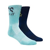 Носки ASICS 2PPK KATAKANA SOCK (2 пары) 3013A453 400