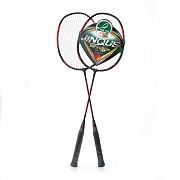 Набор для бадминтона DOUBLE FISH JINQUE 1301