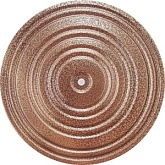 Диск здоровья MADE IN RUSSIA MR-D-09