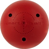 Мяч для тренировки хоккейного дриблинга BIG BOY BB-SB-RD