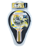 Набор для настольного тенниса Donic-SCHIDKROET Top Team 500, 1 ракетка, 3 мяча, чехол